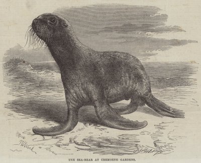 The Sea-Bear at Cremorne Gardens by Thomas W. Wood